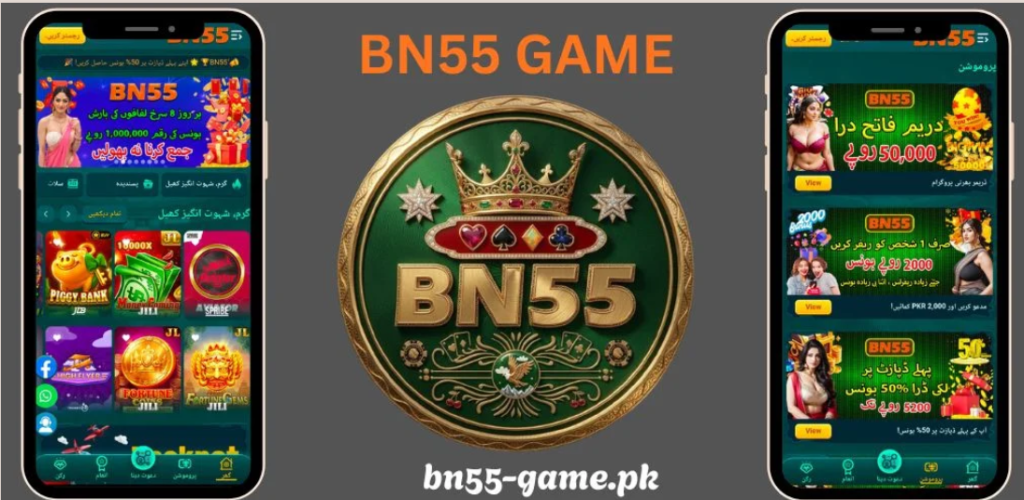 Bn55 Interface