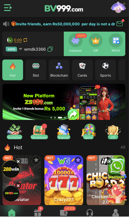 BV999 Game Interface