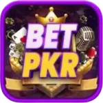 BETPKR Game APK download screen on Android