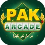 Features of PAKARCADE Game including fast gameplay and arcade challenges