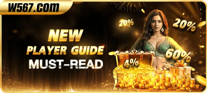 W567 Game new player guide