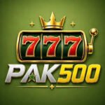 PAK500 Game APK Latest Earning App in Pakistan 2026